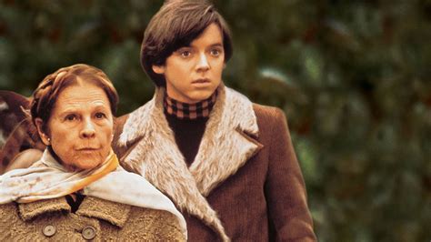 Harold e Maude - Uma Comédia Cativante Sobre Amor Inesperado Entre Duas Gerações!